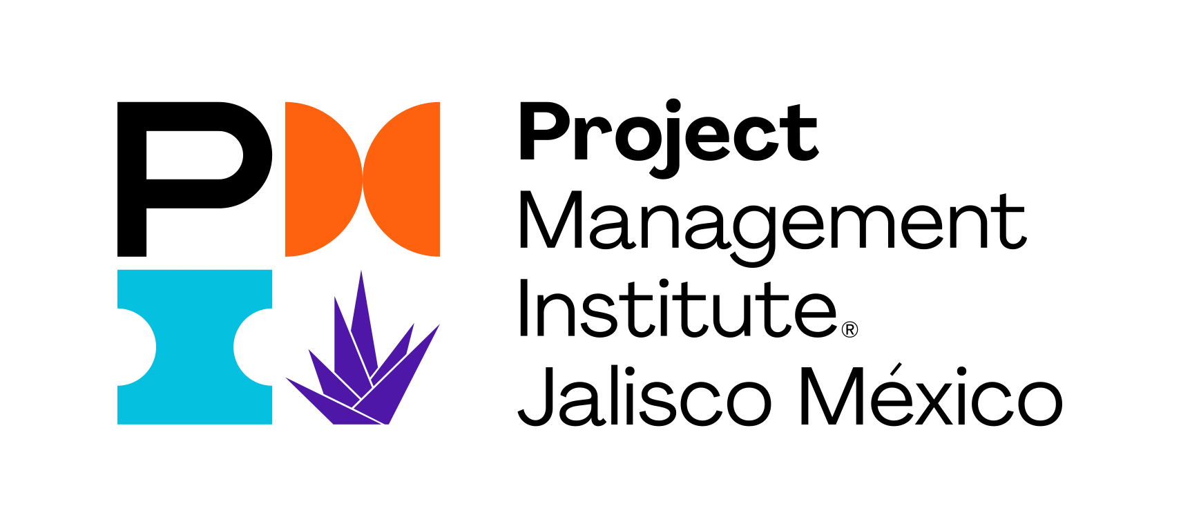 **Project Management Institute
Capítulo Jalisco
**Desde 2013